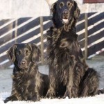 Buster och Barney