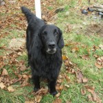 Eilert, oktober 2007