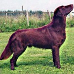 Monty