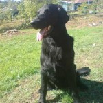 Sixten