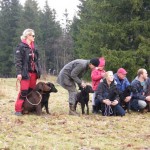 Birgitta, med pappa Tore och Mimer, Barbro med Mette, Malena med Wilma, Ville med Isa och Johan med Märta,