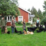 Hartmut, Anke, Inka och Inger med 16 st tyska och svenska hundar innan vi går på promenad!