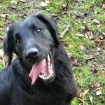 Maggie